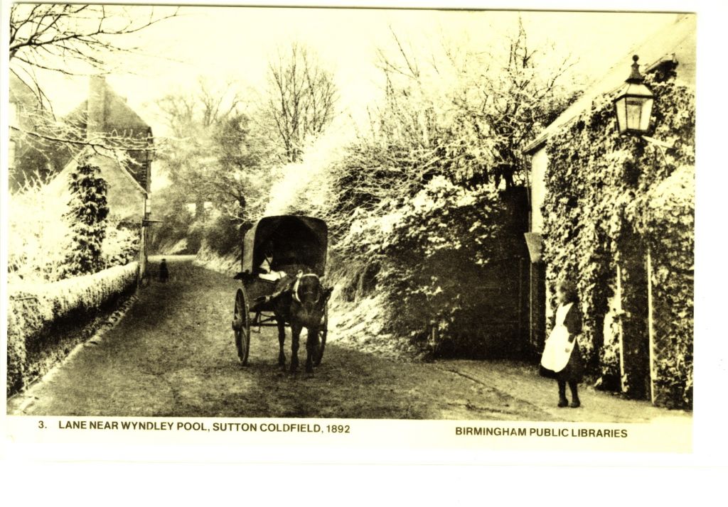 Wyndley Lane