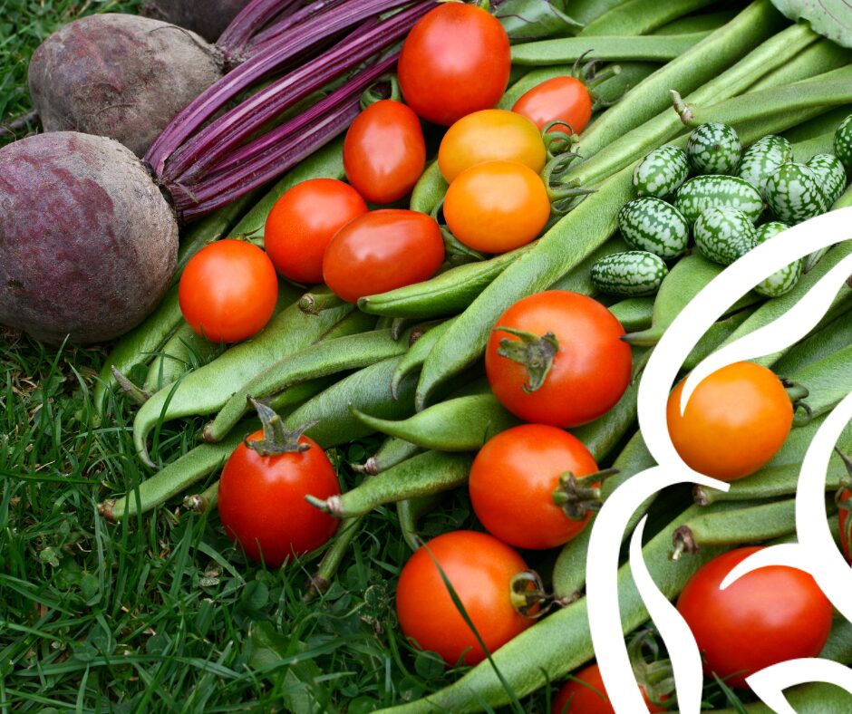Allotment produces